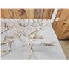 Image 2 : 15.8 Lbs Of Whitetail Antlers