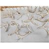 Image 3 : 15.8 Lbs Of Whitetail Antlers