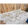 Image 5 : 15.8 Lbs Of Whitetail Antlers