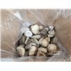 Image 5 : 50 Lbs Of Grade A Elk Shed Burrs