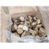Image 4 : 50 Lbs Of Grade A Elk Shed Antlers Burrs