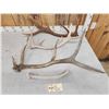 Image 3 : 10 Lbs Of Elk Antler