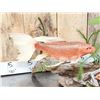 Image 2 : 3 Coi Real Skin Fish Taxidermy