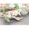 Image 4 : 3 Coi Real Skin Fish Taxidermy