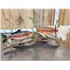 Image 6 : 3 Coi Real Skin Fish Taxidermy