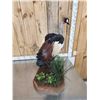 Image 4 : Gorgeous African Crowned Crane Full Body Bird Taxidermy