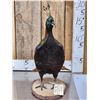 Image 2 : Himalayan Monal Pheasant Full Body Bird Taxidermy