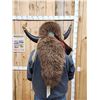 Image 3 : Authentic Native American Made Buffalo Head Dress