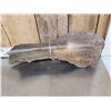 Image 6 : Ancient Woolly Mammoth Scapula Bone