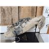 Image 2 : Woolly Rhinoceros Jaw Section Fossilized Fossil