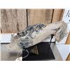 Image 3 : Woolly Rhinoceros Jaw Section Fossilized Fossil