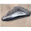 Image 5 : Giant Megalodon Shark Tooth Fossilized Fossil
