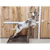Image 2 : Piebald Whitetail Doe Jumping A Fence Full Body Taxidermy Mount