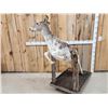 Image 6 : Piebald Whitetail Doe Jumping A Fence Full Body Taxidermy Mount