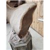 Image 7 : Gorgeous Elk Pedestal Taxidermy Mount