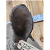 Image 10 : Reproduction Monster African White Rhinoceros Shoulder Mount Taxidermy
