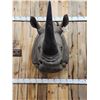 Image 1 : Reproduction Monster African White Rhinoceros Shoulder Mount Taxidermy
