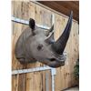 Image 2 : Reproduction Monster African White Rhinoceros Shoulder Mount Taxidermy