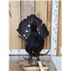 Image 1 : Western Capercaillie Full Body Bird Taxidermy