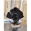 Image 7 : Western Capercaillie Full Body Bird Taxidermy