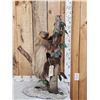 Image 1 : Rare Two Toed Sloth Full Body Taxidermy Mount