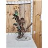 Image 7 : Rare Two Toed Sloth Full Body Taxidermy Mount