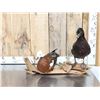 Image 1 : Pair Of African Shelducks Full Body Bird Taxidermy