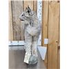 Image 5 : Alaskan Lynx Full Body Taxidermy Mount