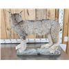 Image 6 : Alaskan Lynx Full Body Taxidermy Mount