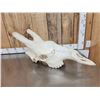 Image 3 : Giraffe Skull Taxidermy
