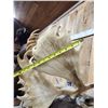 Image 5 : Big Double Shovel Caribou Shoulder Mount Taxidermy