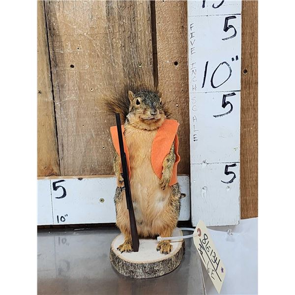 Hunting Squirrel Taxidermy Mount