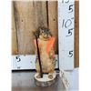 Image 1 : Hunting Squirrel Taxidermy Mount