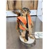 Image 3 : Hunting Squirrel Taxidermy Mount