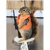 Image 4 : Hunting Squirrel Taxidermy Mount