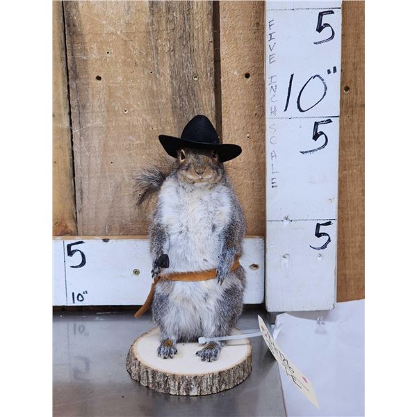 Sheriff Squirrel Taxidermy Mount