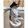 Image 3 : Sheriff Squirrel Taxidermy Mount
