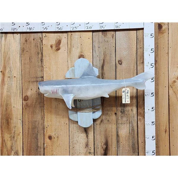 Cyclops Shark Reproduction Fish Taxidermy