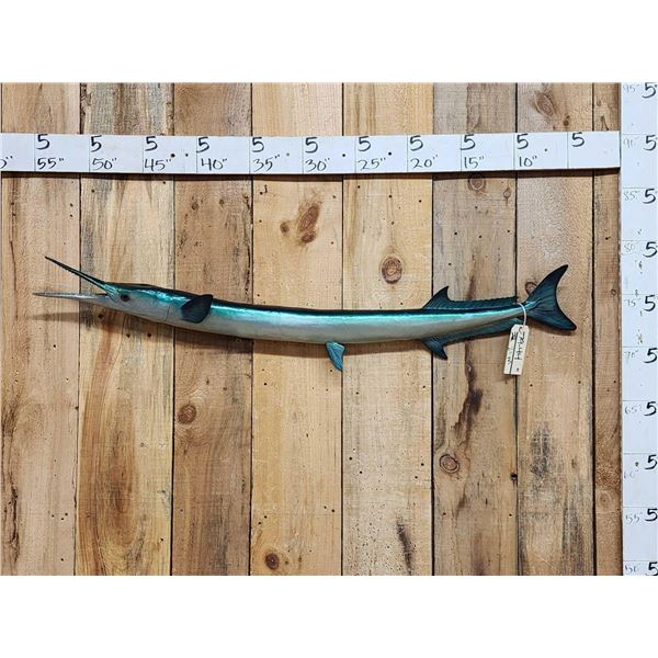 50" Needle Fish Reproduction Fish Taxidermy