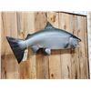 Image 3 : 46" King Salmon Reproduction Fish Taxidermy