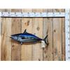 Image 1 : 28" Tuna Reproduction Fish Taxidermy