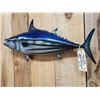Image 3 : 28" Tuna Reproduction Fish Taxidermy