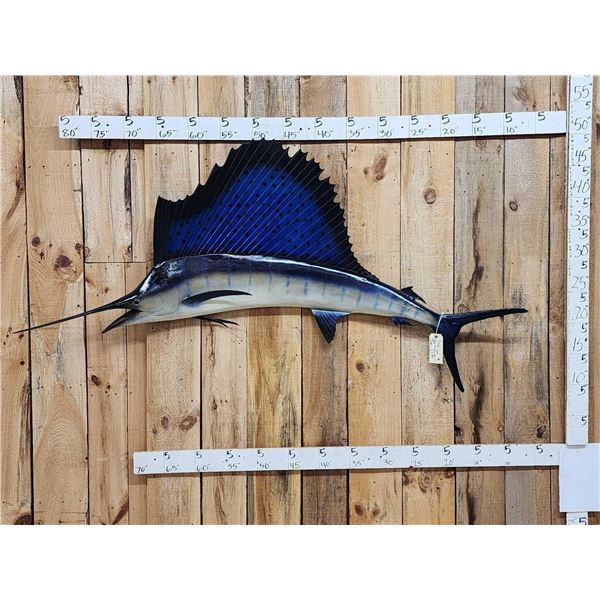 79" Sail Fish Reproduction Fish Taxidermy