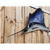 Image 4 : 79" Sail Fish Reproduction Fish Taxidermy