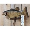 Image 3 : 19" Smallmouth Bass Real Skin Fish Taxidermy