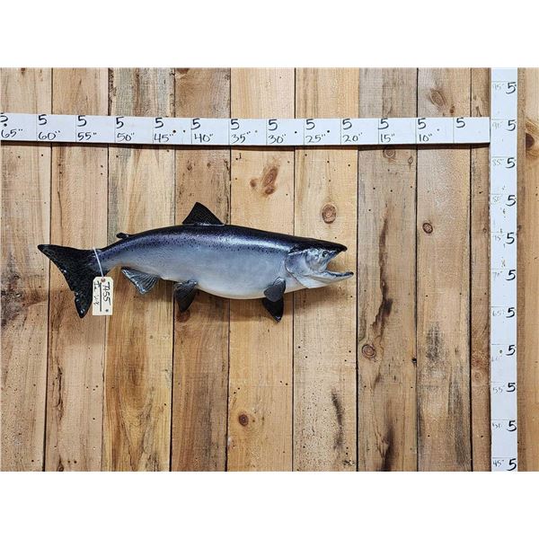 39" King Salmon Real Skin Fish Taxidermy