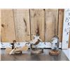 Image 1 : 3 Cute Critters Taxidermy Lot