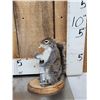 Image 2 : 3 Cute Critters Taxidermy Lot