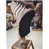 Image 8 : Zebra Pedestal Taxidermy Mount