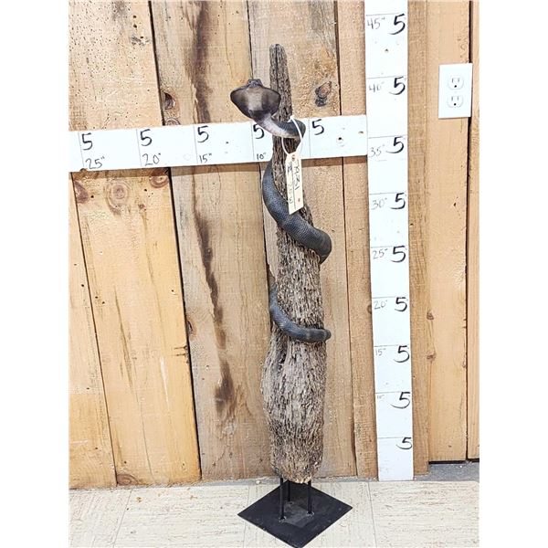 Reproduction Cobra Snake